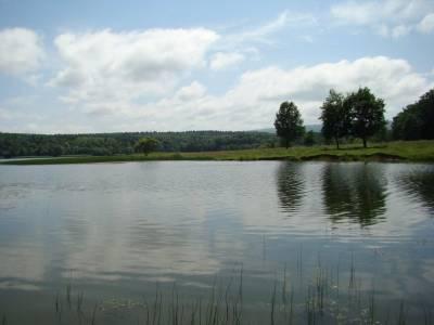 Доброгостівське водосховище