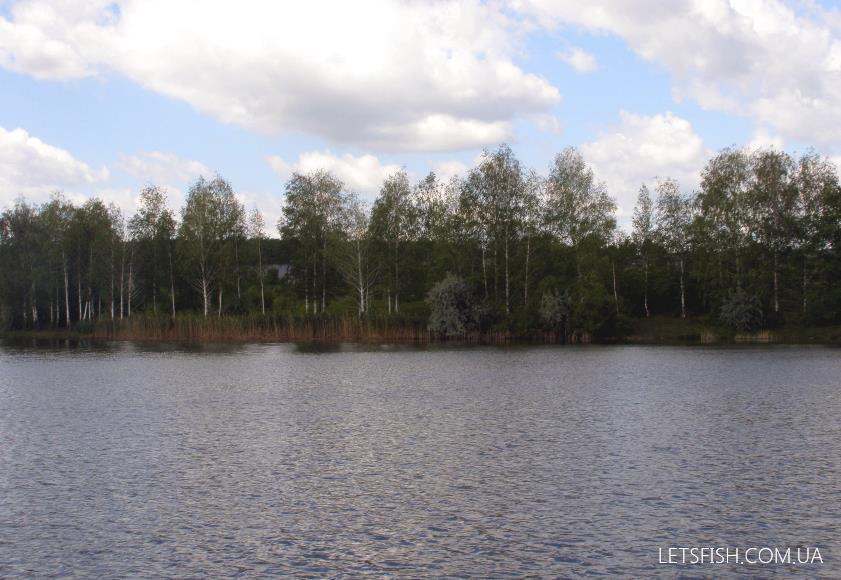 Охоче (Ростиня)