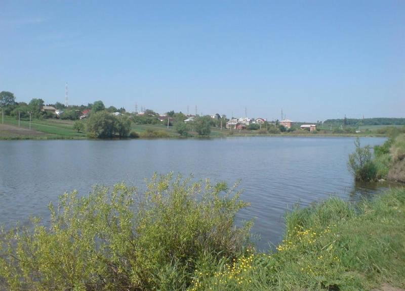 Базаринці