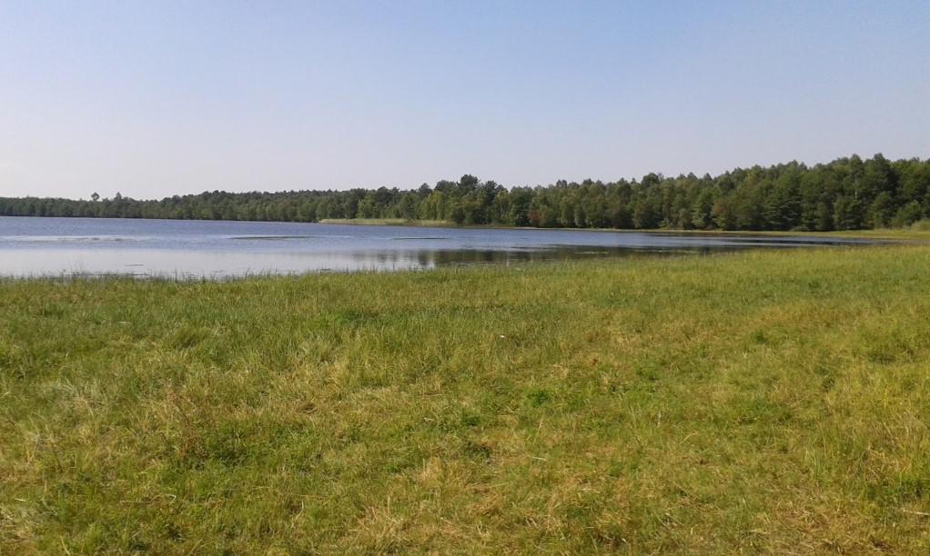 Луко (Озеро Луківське)