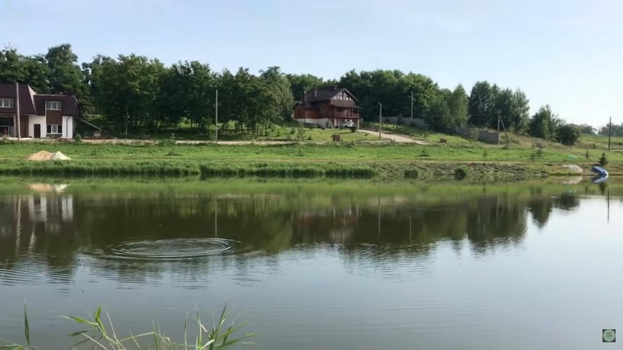 Борщовичі
