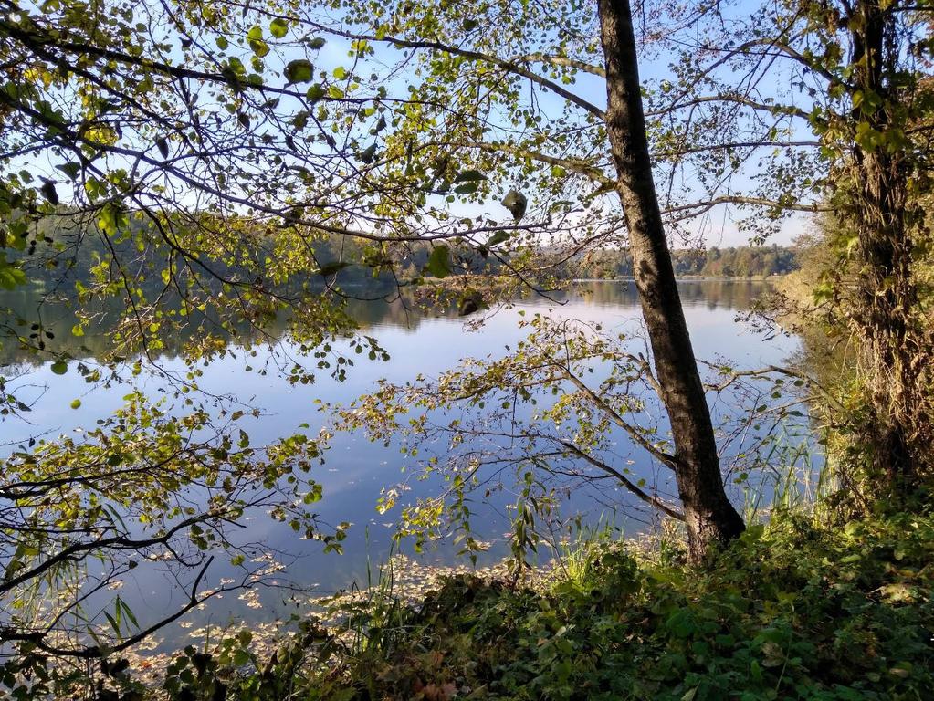 Озеро Відро