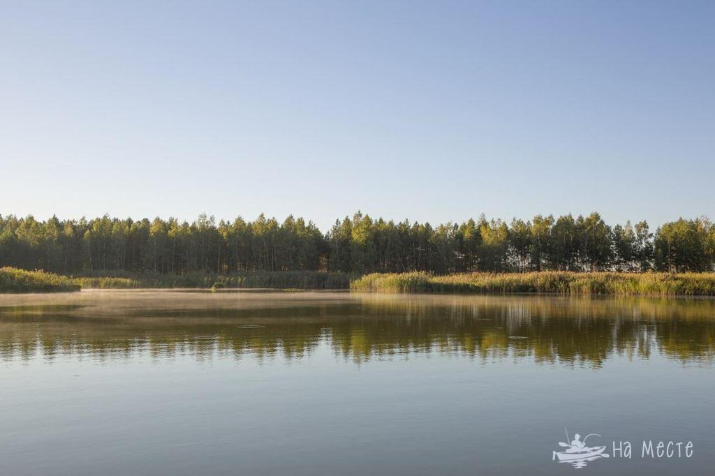 Ліпляве (Маточник)