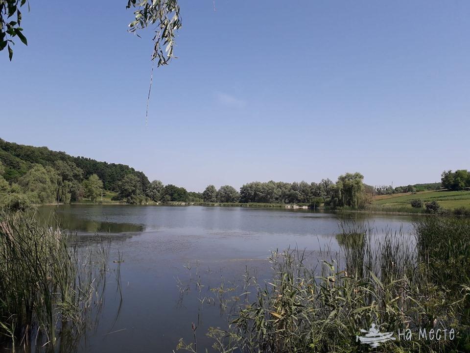 Ставки в с. Мельники (колишня рибальська база "Холодний Яр")