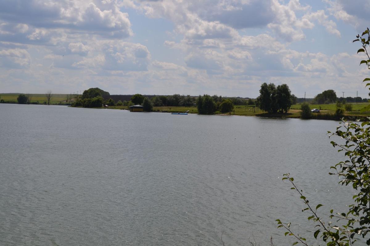 Ставок в с. Мартоноша, Кіровоградська обл. — риболовля, фото 11