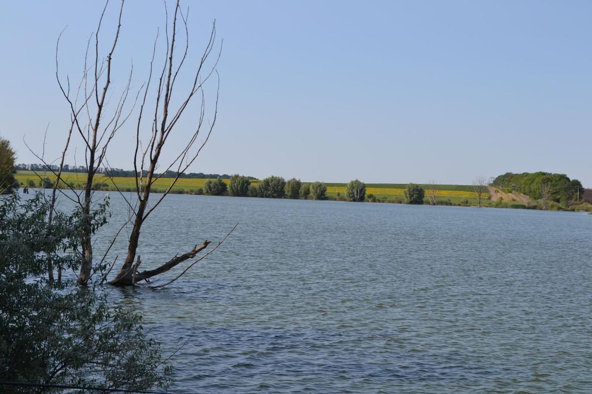 Ставок в с. Мартоноша, Кіровоградська обл. — риболовля, фото 8