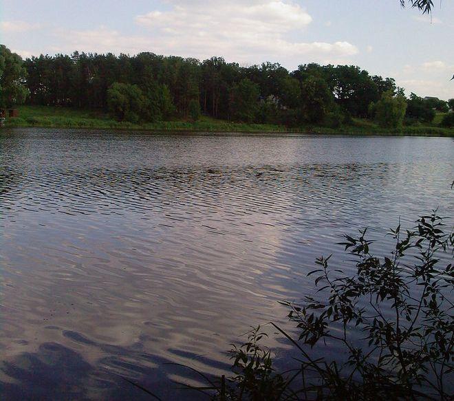 Мироцьке