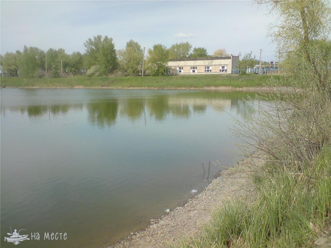 Худяки (Підкова)