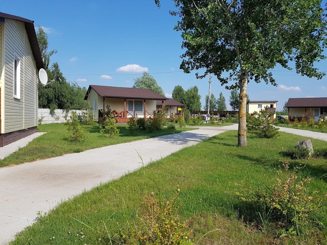 Озеро Домауха, Чернігівська обл. — риболовля, фото 16
