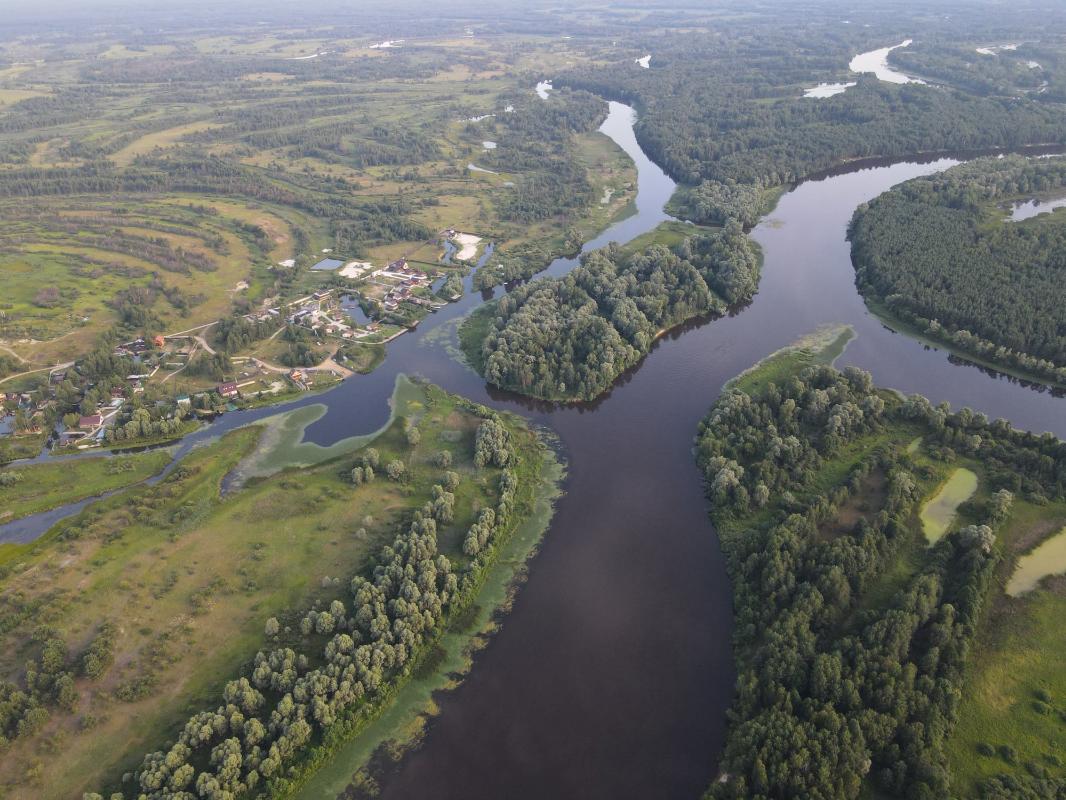 Озеро Домауха, Чернігівська обл. — риболовля, фото 10