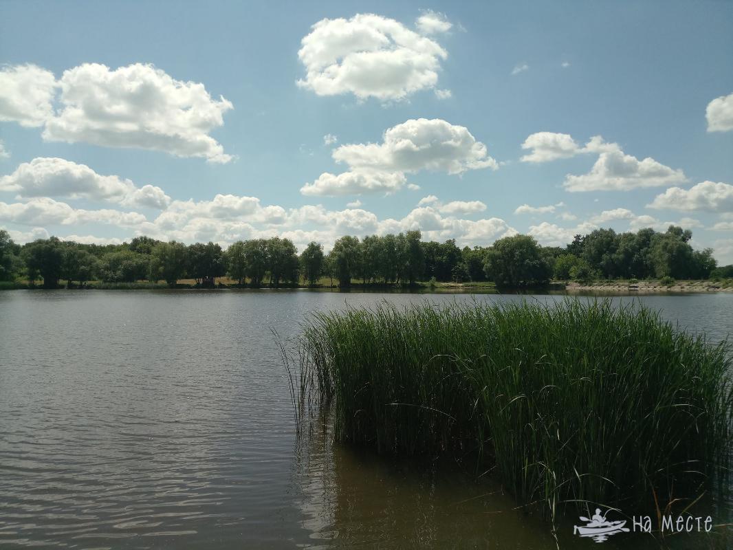 Ставок в с. Косарі