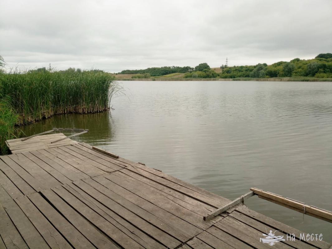Ставок в с. Косарі, Черкаська обл. — риболовля, фото 16