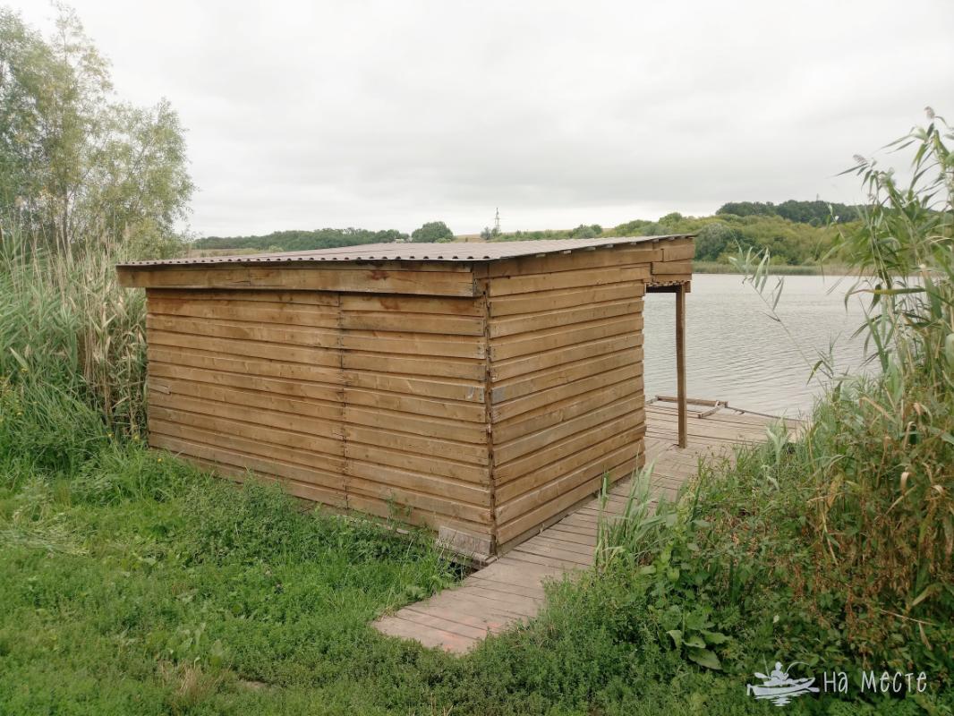 Ставок в с. Косарі, Черкаська обл. — риболовля, фото 18