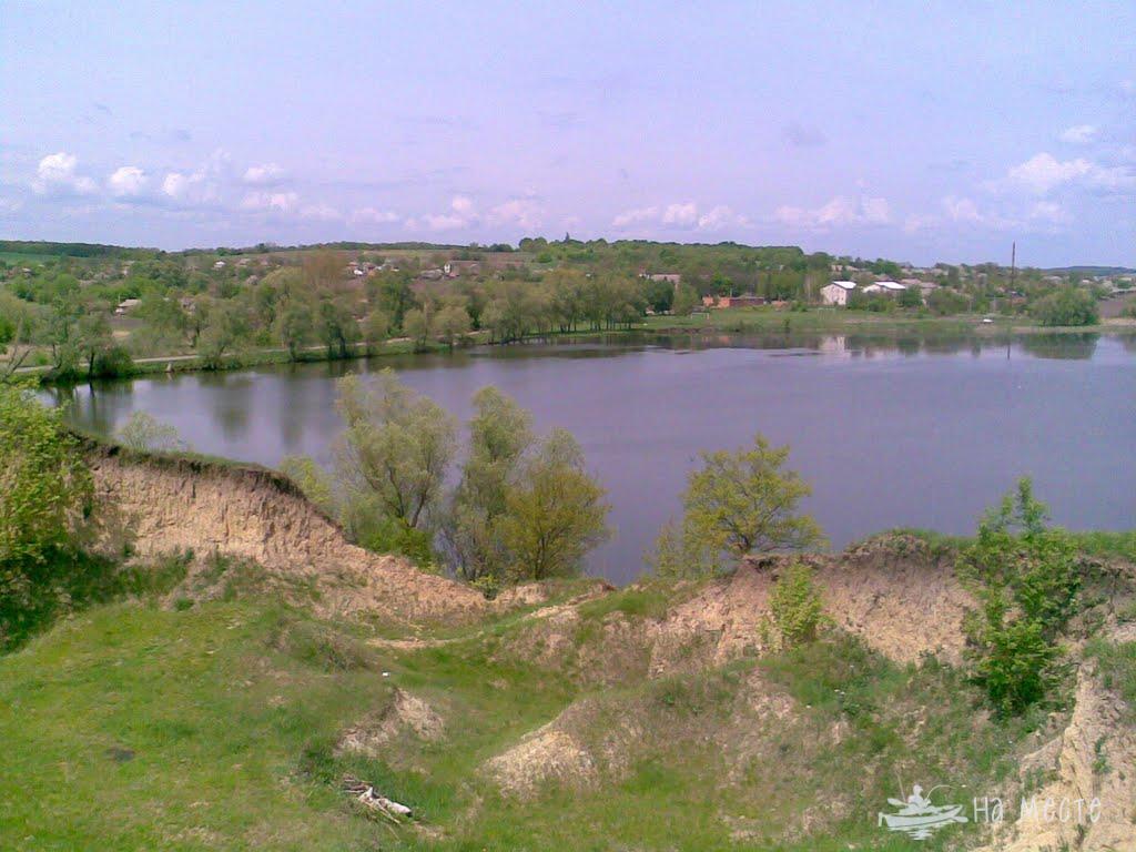 Ставок в с. Стара Осота (Осотянський став)