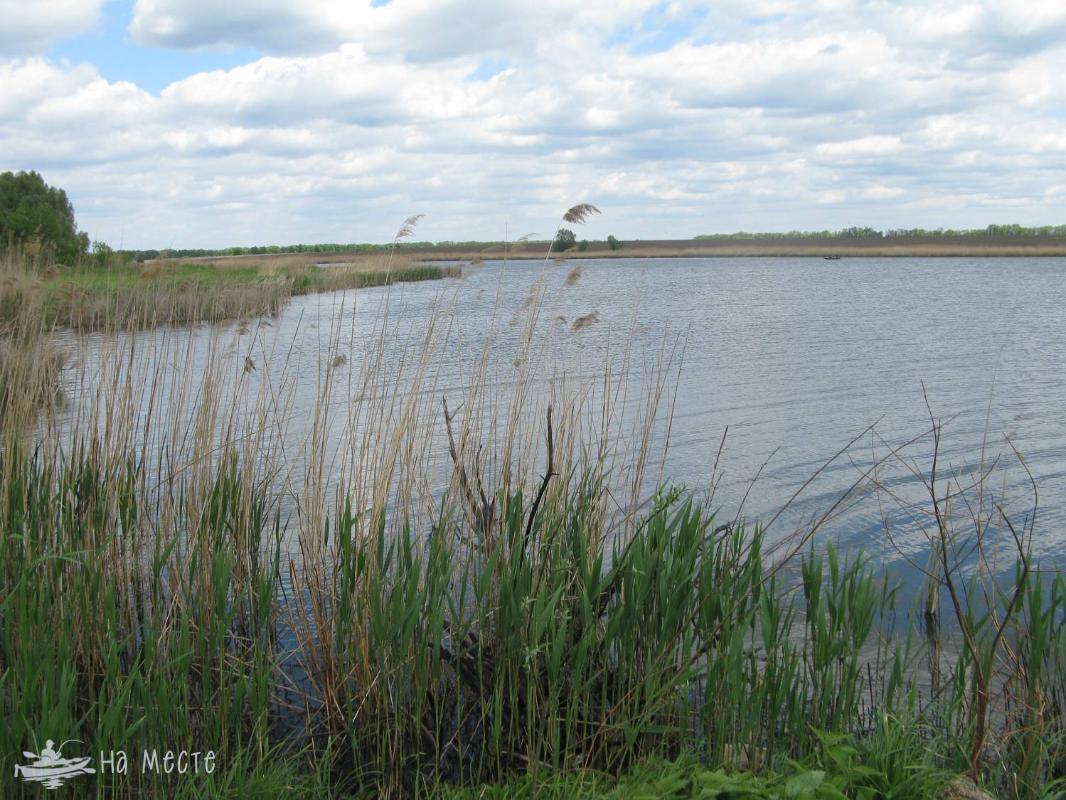 Водойма в с. Синьооківка (р. Кропивна)