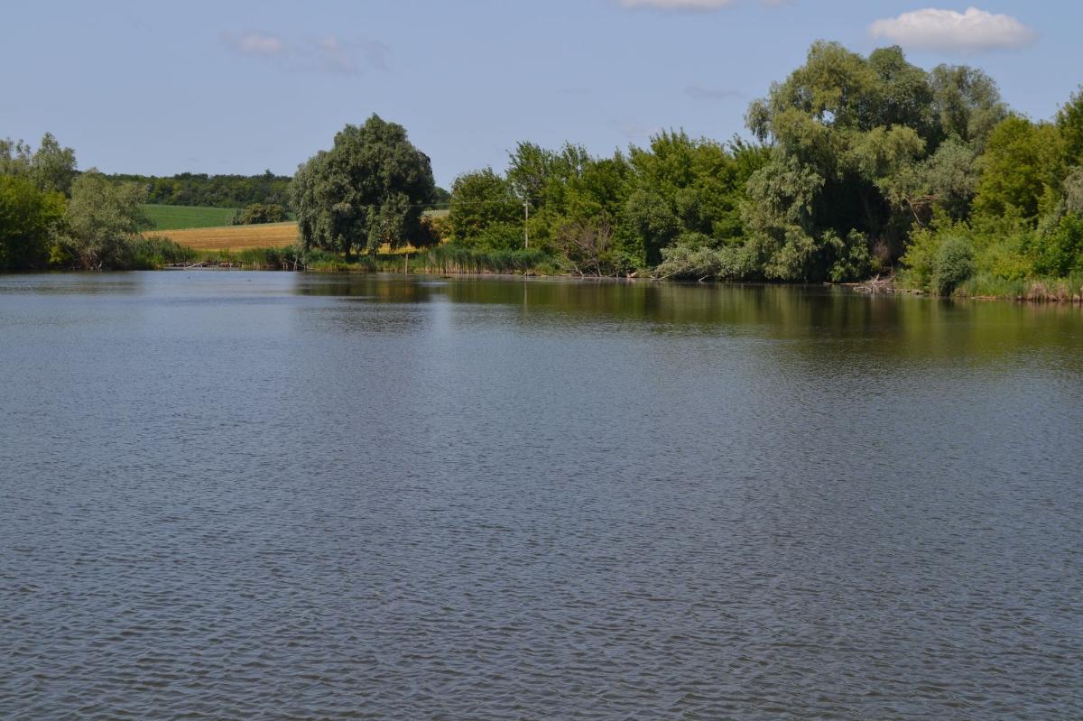 Водойма в с. Лебедівка (р. Сухий Ташлик)