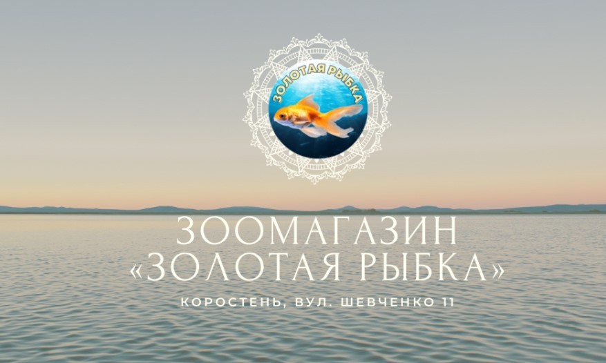 Золота рибка — фото магазину