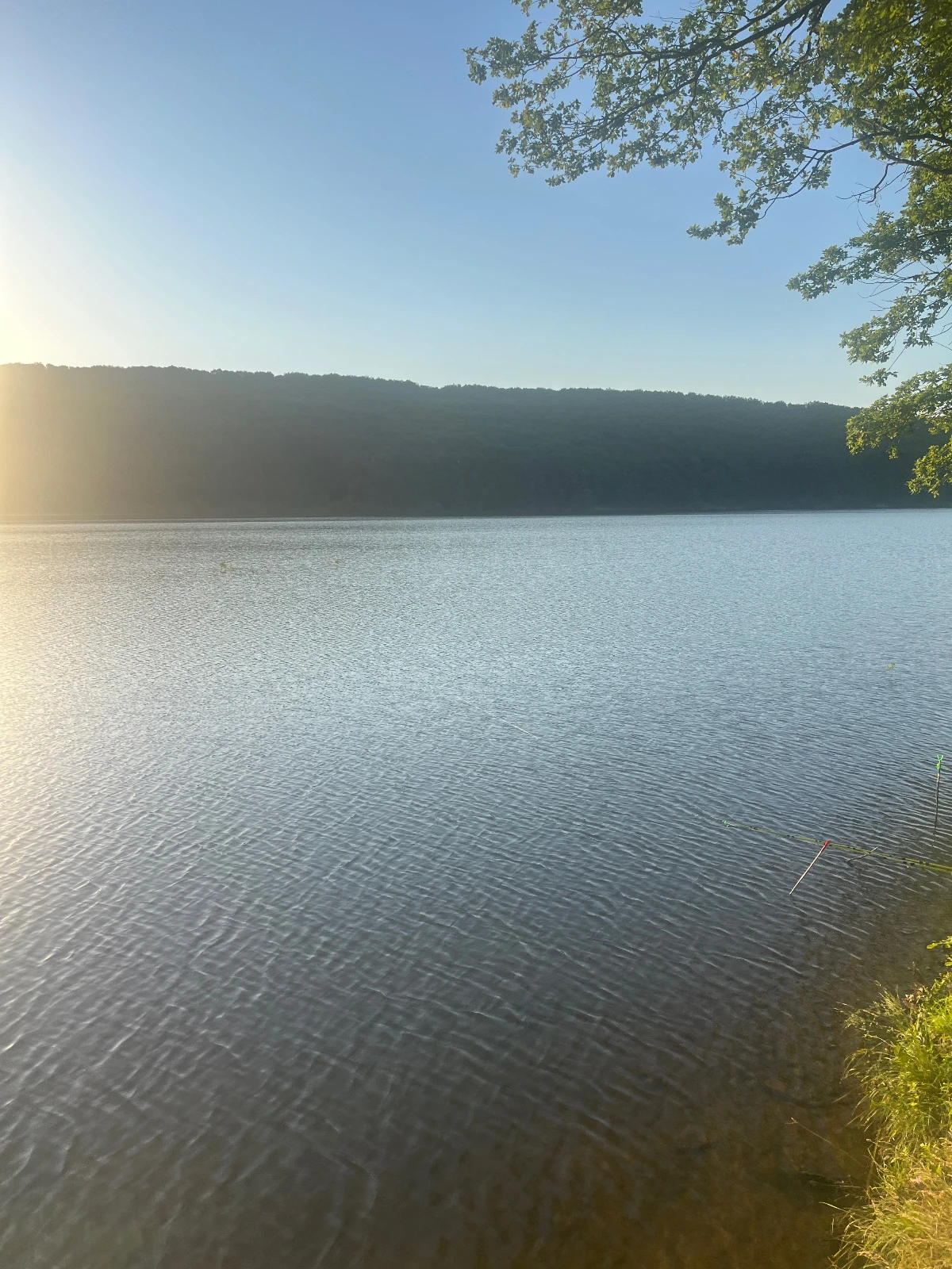 Андріївське водосховище, Закарпатська обл. — риболовля, фото 2