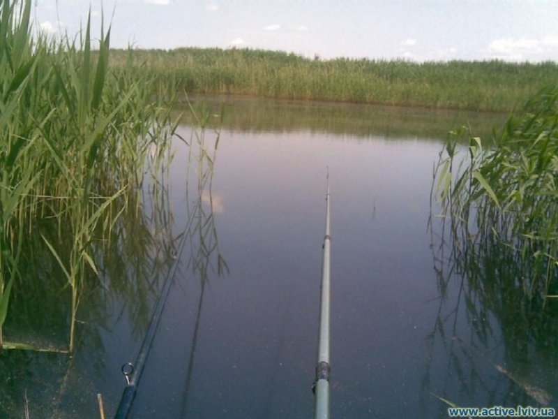 Батятичі (Рожанка)