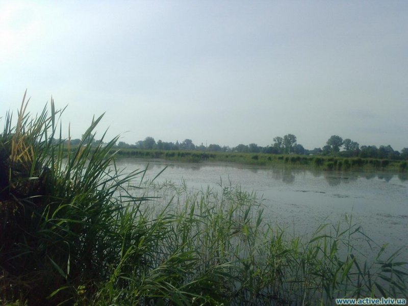 Озеро Батятичі (Рожанка), Львівська обл. — риболовля, фото 3