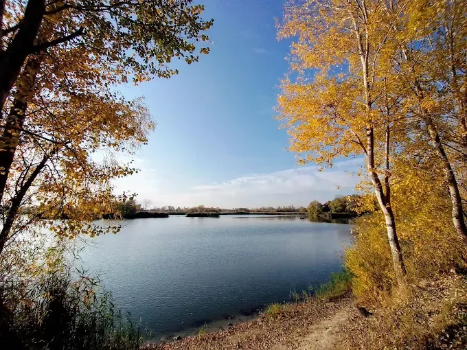 Ставок Камплиця (Задонецьке), Харківська — риболовля, фото 7