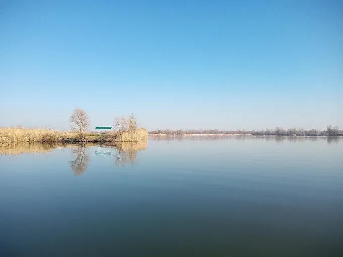 Ставок Камплиця (Задонецьке), Харківська — риболовля, фото 9