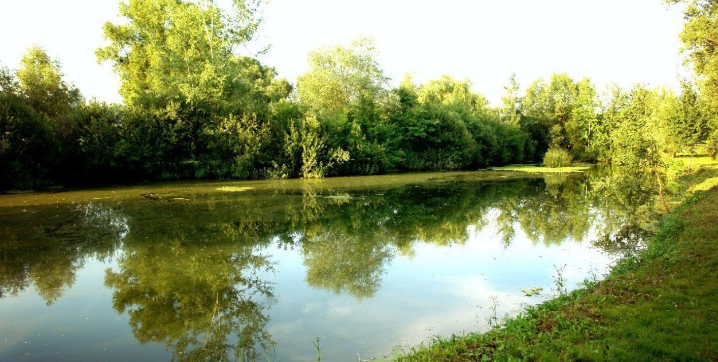 База відпочинку «Lost Paradise»