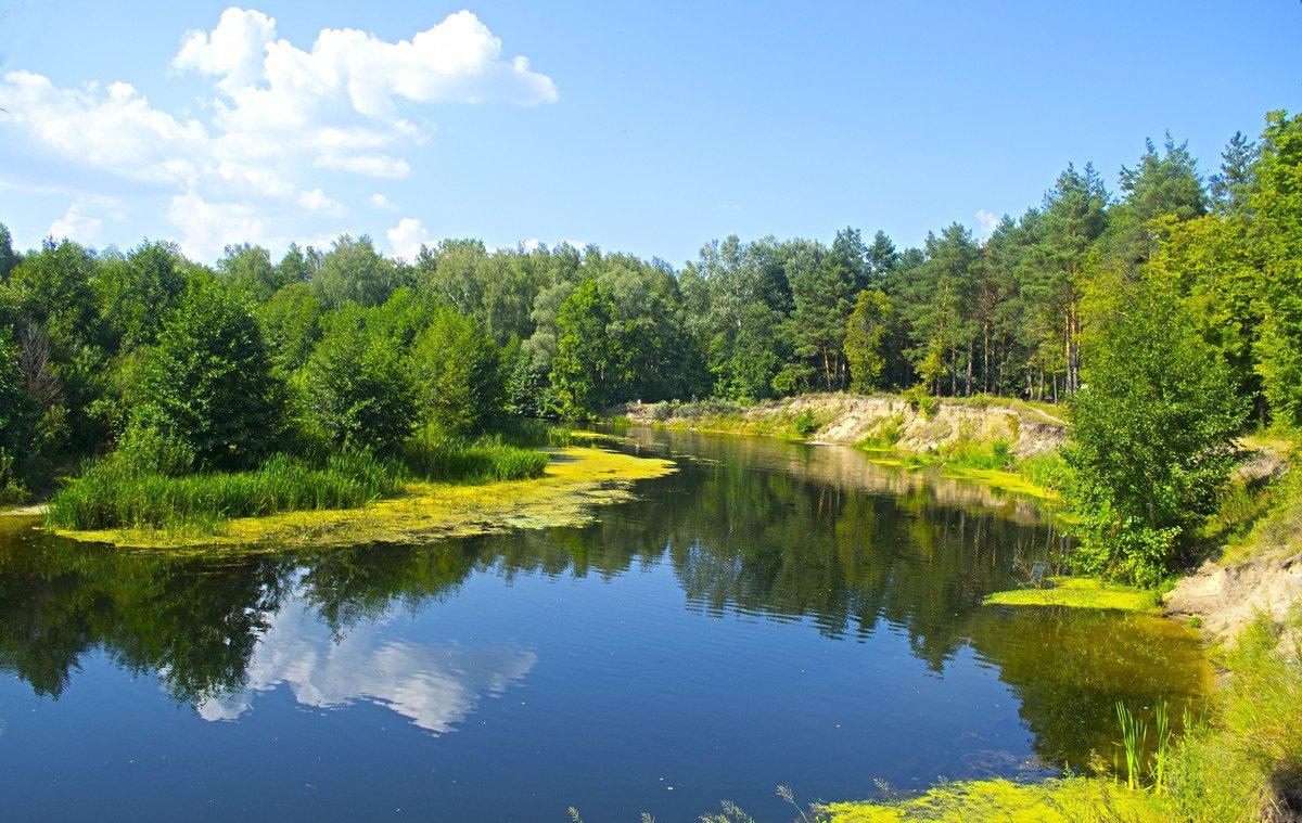 База відпочинку "Псел" (Крамаренки), Полтавська обл. — риболовля, фото 3