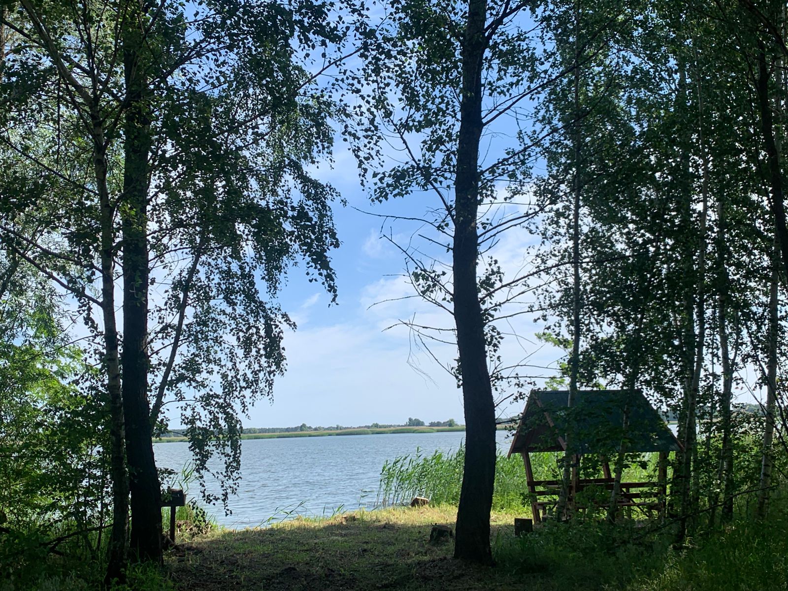 Леськи ("Морозівські ставки"), Черкаська обл. — риболовля, фото 2