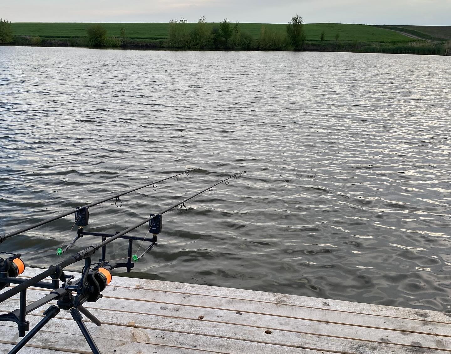 Parus lake