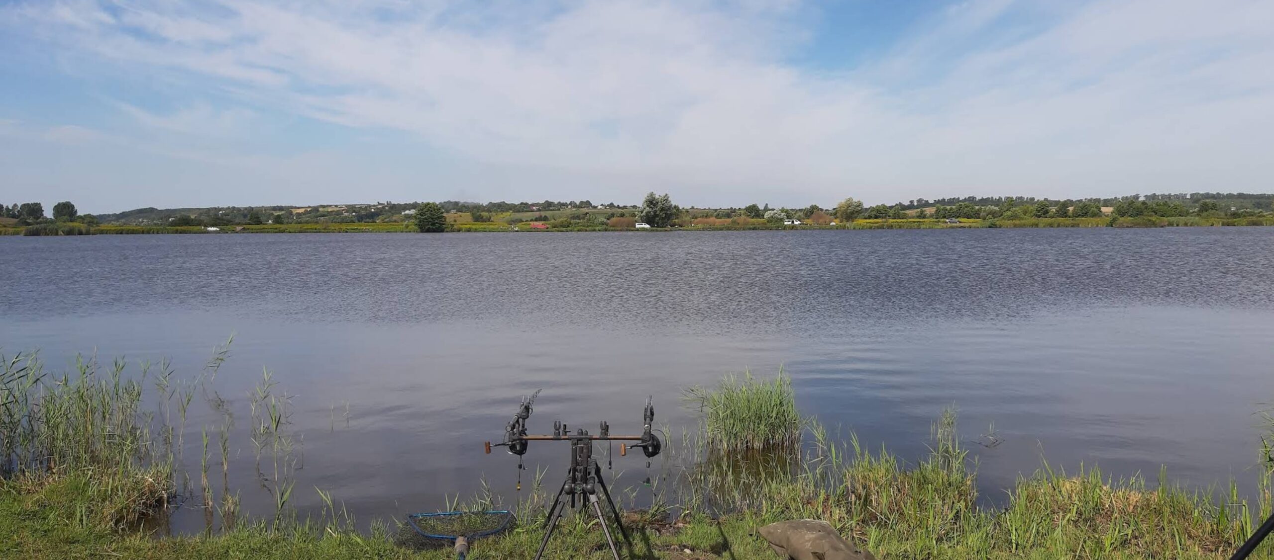 Resident carp lake