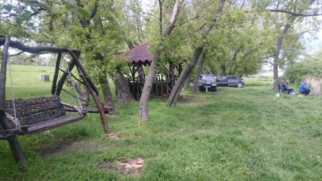 Ставок Вільне (Водойма  "Бурячка"), Дніпропетровська обл. — риболовля, фото 9