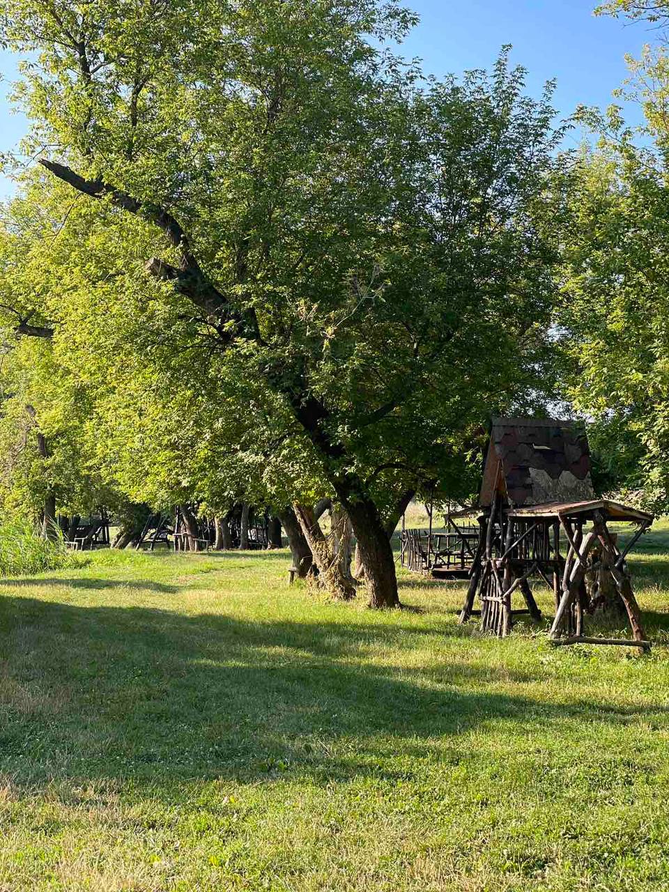 Ставок Вільне (Водойма  "Бурячка"), Дніпропетровська обл. — риболовля, фото 5