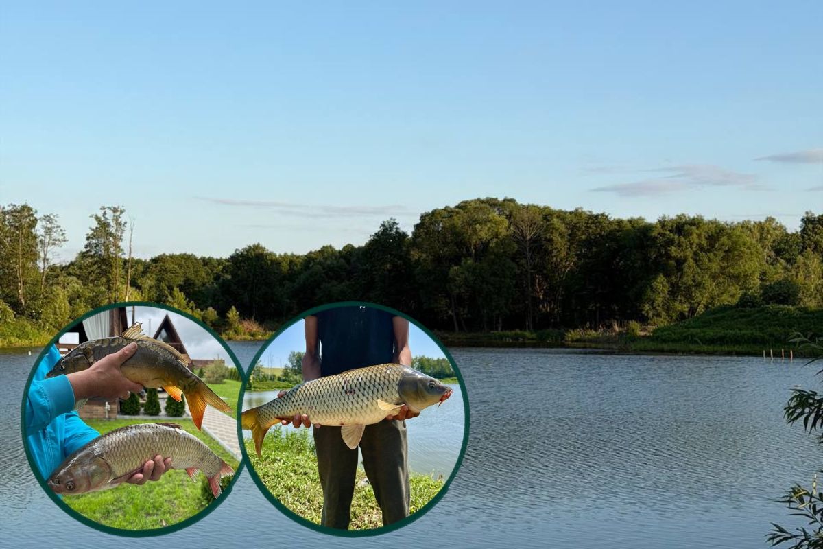 Eco-Fishing Vugly