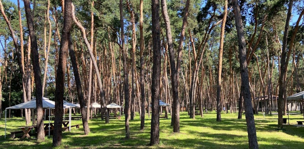Еко-турбаза «Лісова на Самарі», Вінницька обл. — риболовля, фото 2