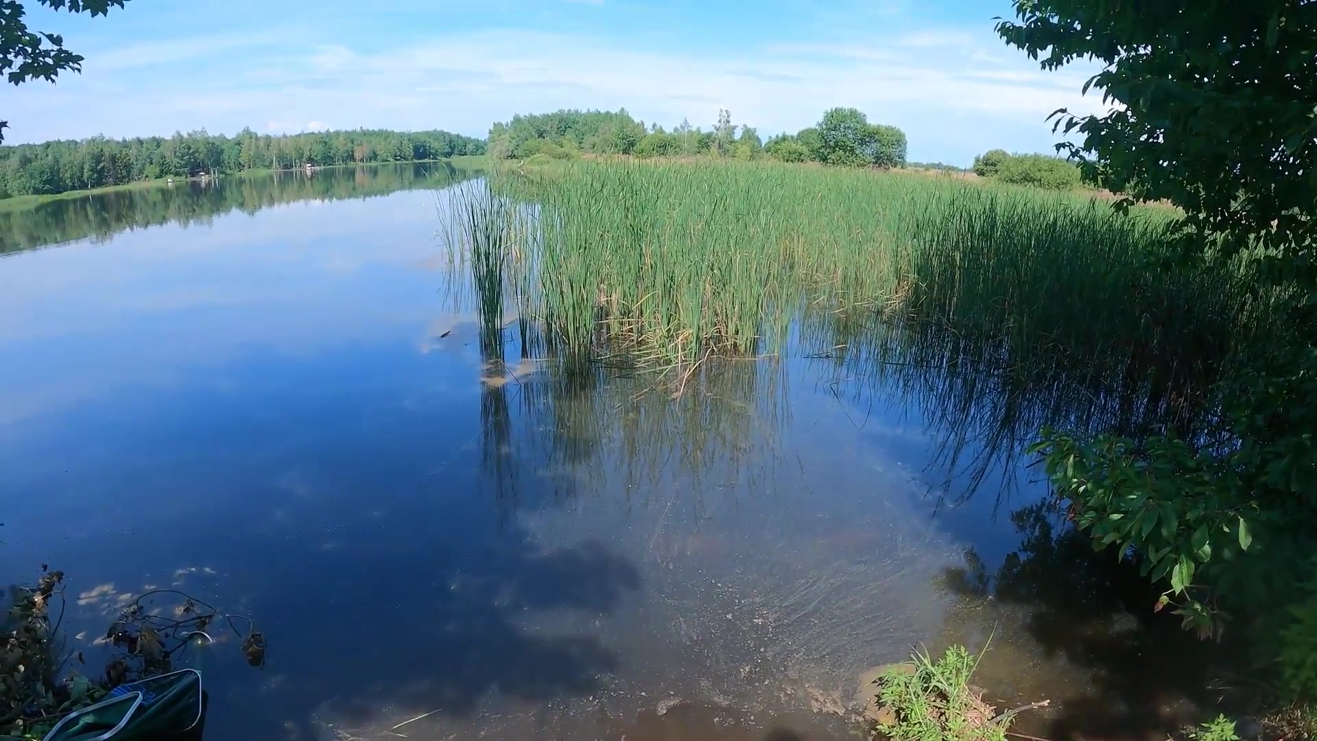 Ставок Лісна Слобідка, Івано-Франківська обл. — риболовля, фото 3