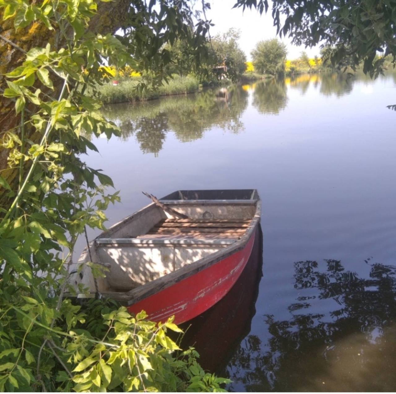 Ставок Воронів (У стрия Йвана), Івано-Франківська обл. — риболовля, фото 7