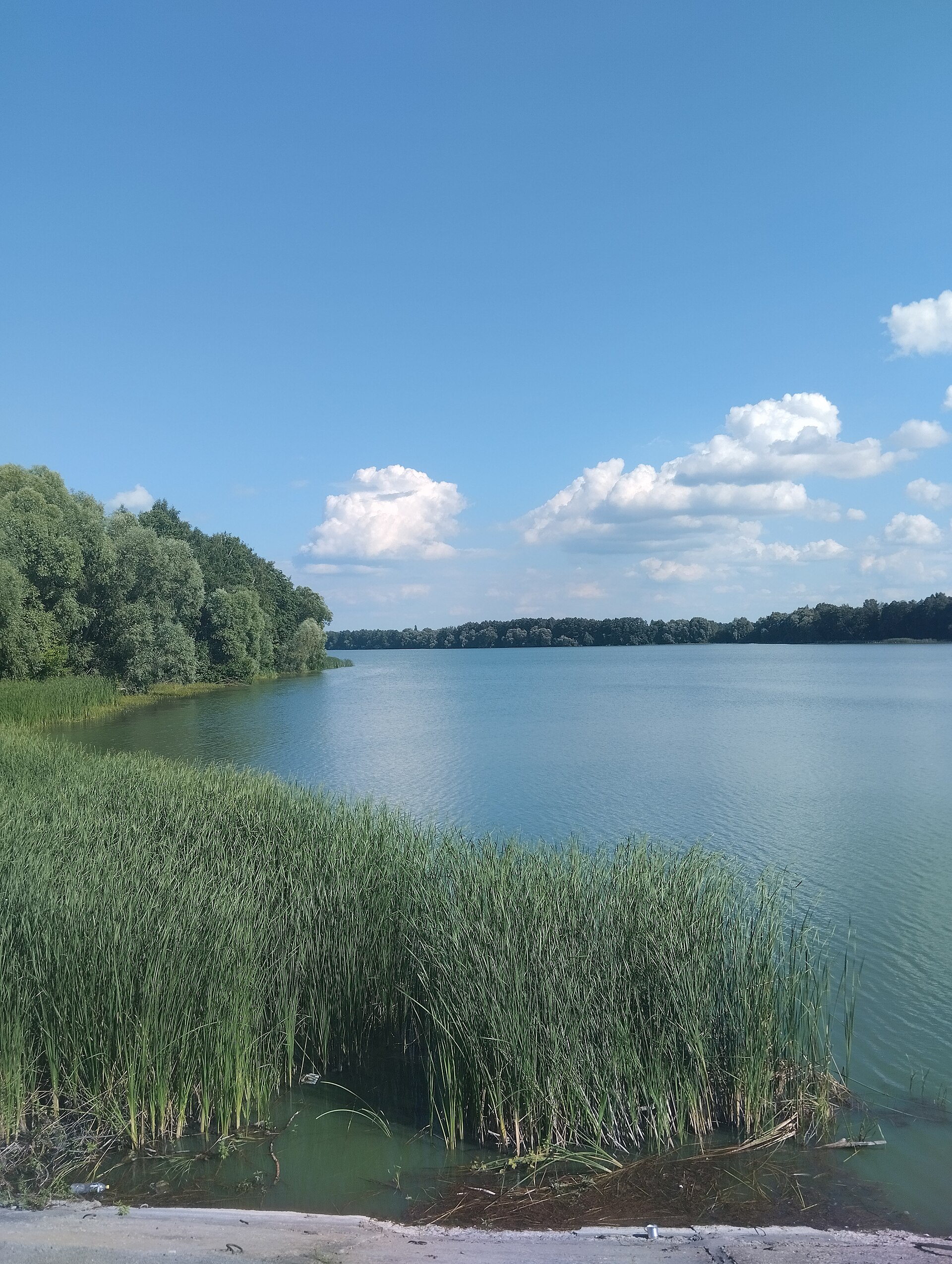 Карабутівське водосховище, Сумська обл. — риболовля, фото 3