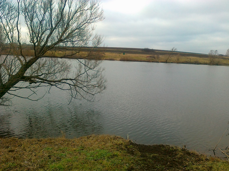 Ставок Водойма  "Перші Бугаї", Харківська обл. — риболовля, фото 10