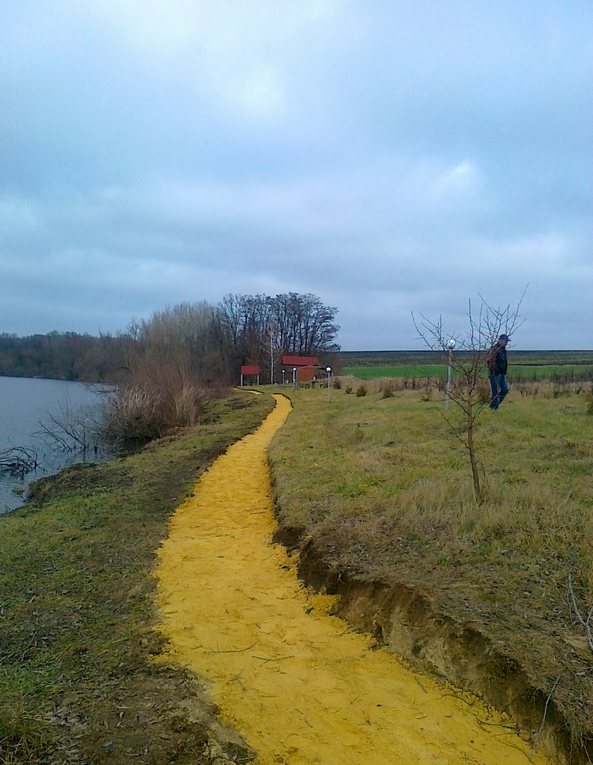 Ставок Водойма  "Перші Бугаї", Харківська обл. — риболовля, фото 8