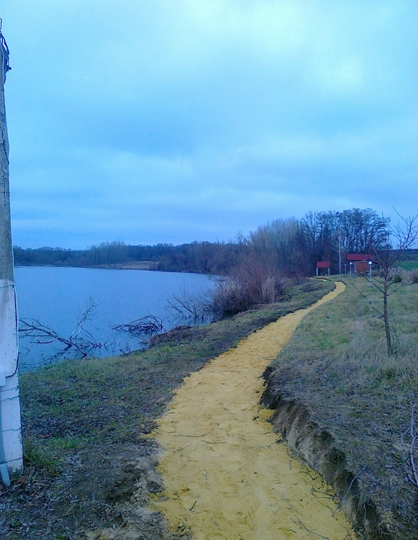 Ставок Водойма  "Перші Бугаї", Харківська обл. — риболовля, фото 9