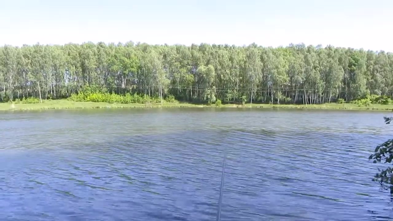 Ставок Люботин (Перекошка), Харківська обл. — риболовля, фото 2