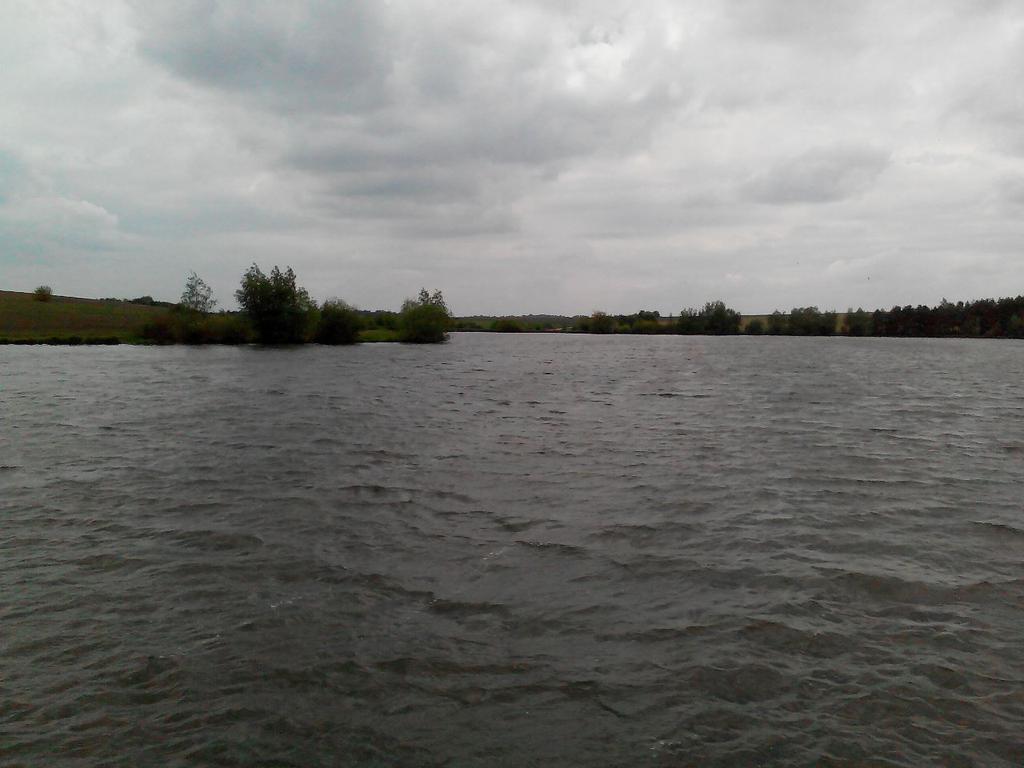 Підлісний Олексинець