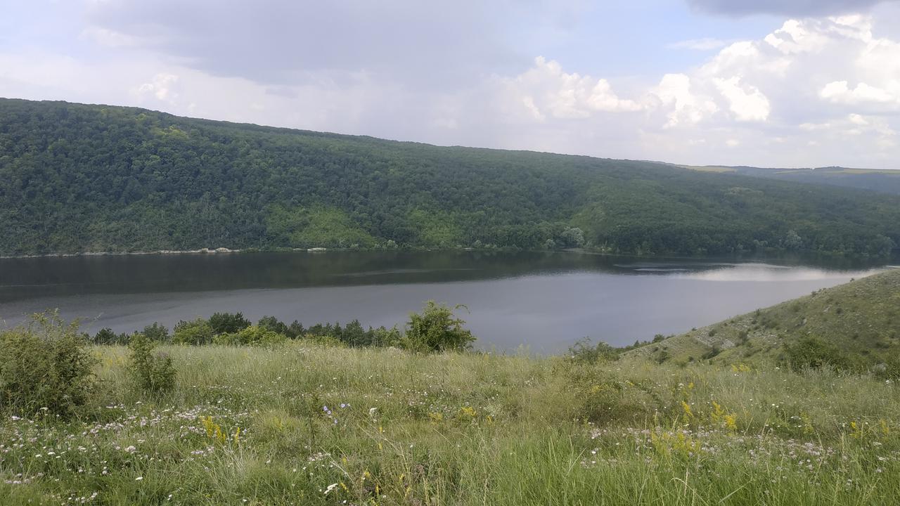 Субіч (річка Дністер)