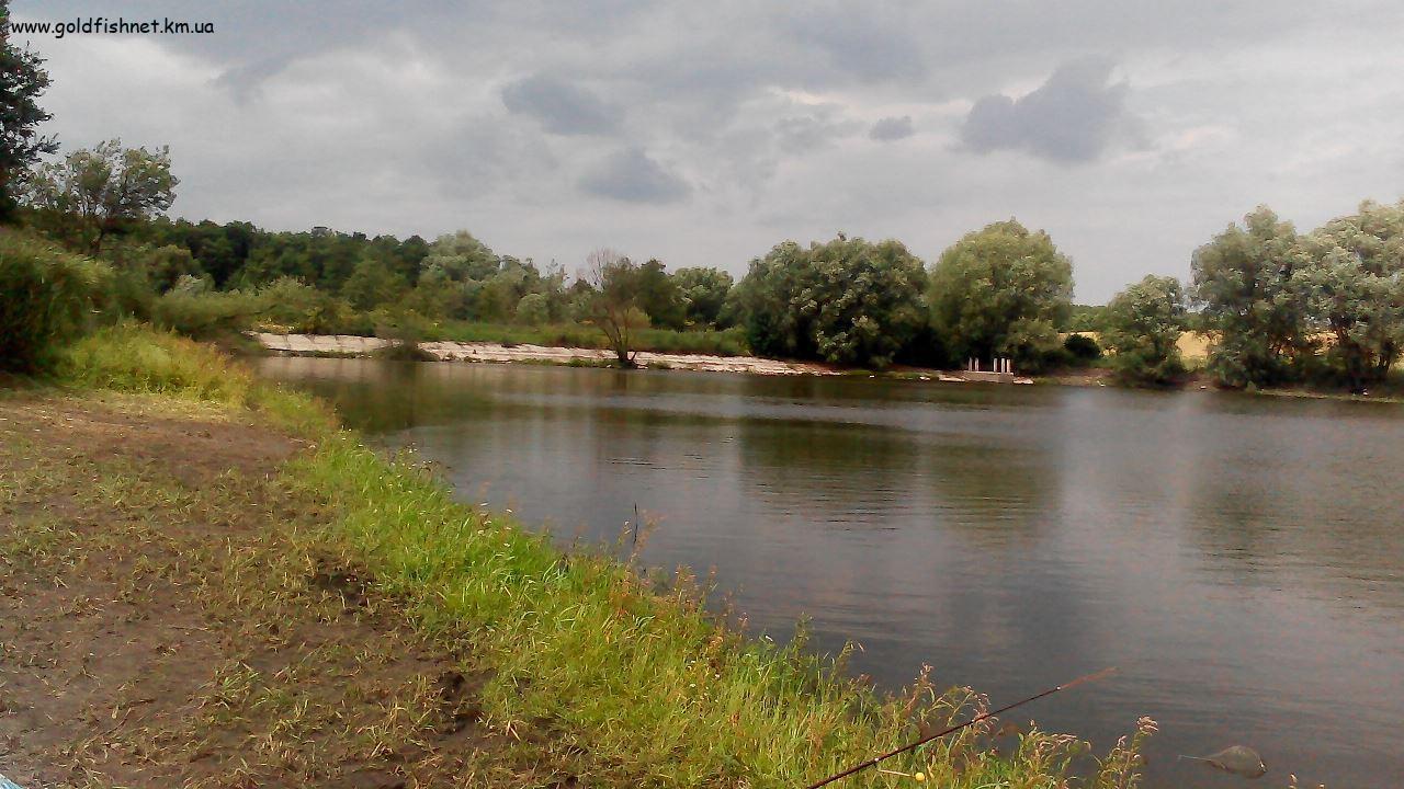 Ружична (Кислородка, лівий став)