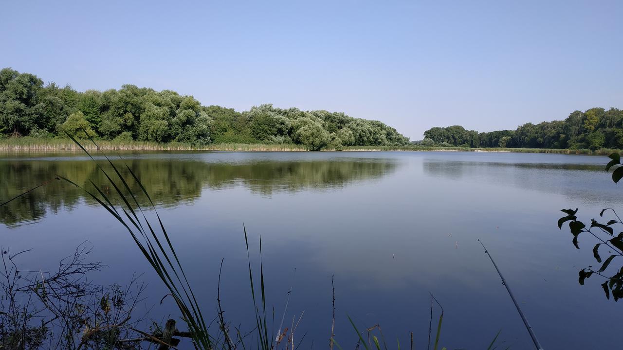 Почапинці (на полю)
