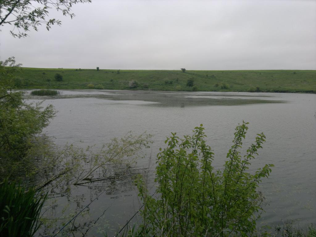 Хропотова (на полю)