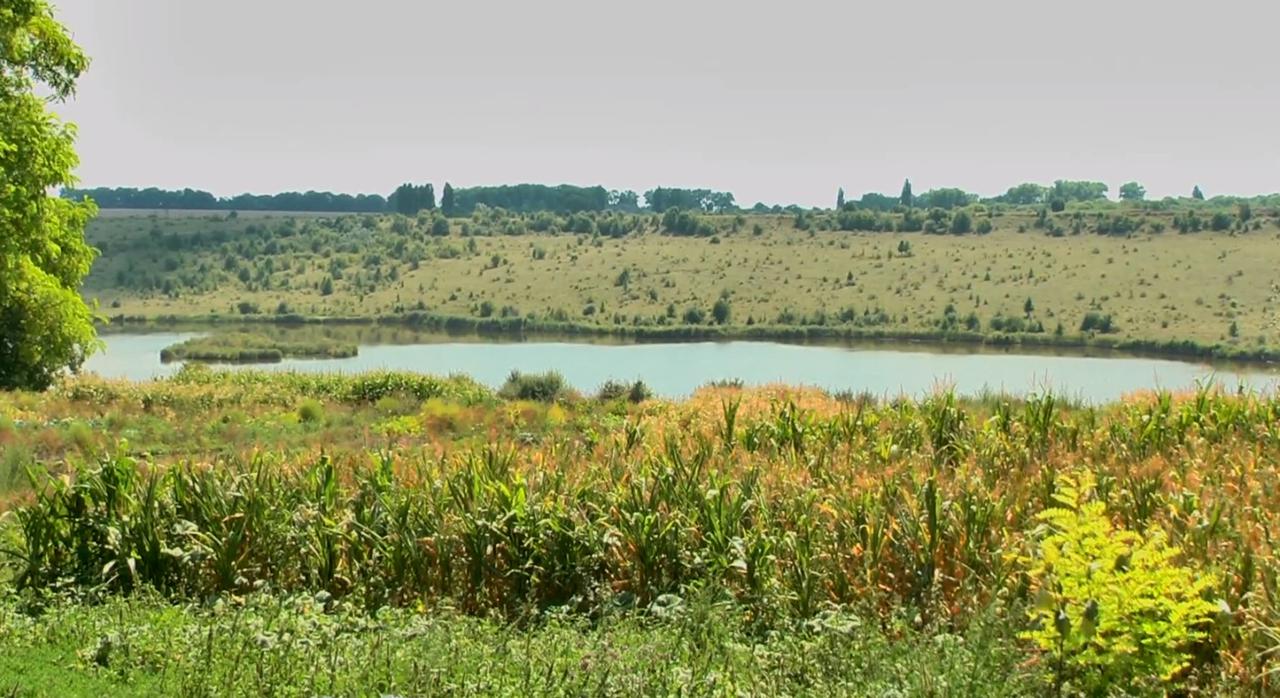 Вікторівка (Солонча)