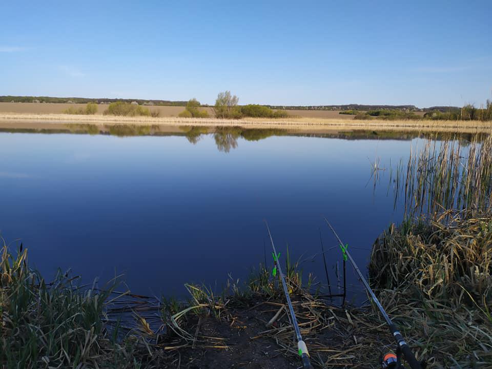 Суржа