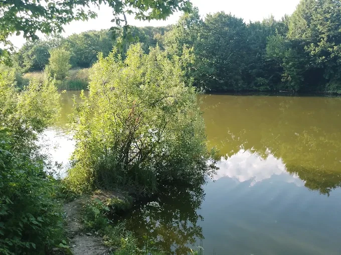 Колубаївський став, Хмельницька обл. — риболовля, фото 2